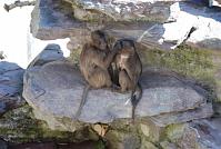Bild 191 